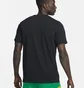 Футболка мужская Nike T-Shirt Dri-Fit Black FD0069-010