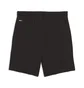 Шорти чоловічі Puma Tech Black 692182-01