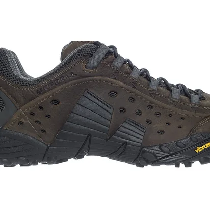 Кроссовки мужские Merrell Intercept Brown J598633