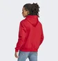 Худи мужское Adidas Pinstripe Fleece Hoodie Red Ia1809