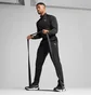 Штаны мужские Puma Tad Essentials Black 525916-01