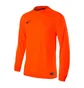 Свитшот мужской Nike Park Goalie Ii Jsy Orange 588418-803