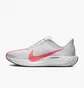 Кроссовки мужские Nike Pegasus Plus Road Running Shoes White FQ7262-001