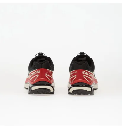 Кроссовки мужские Salomon Xt-6 Gore-Tex Black L47974900
