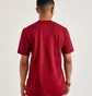 Футболка мужская Air Jordan Watercolor Tee Red FN5980-677