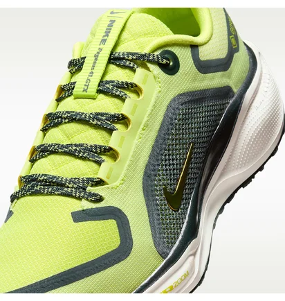 Кросівки жіночі Nike Pegasus 41 Gore Tex Green FQ1357-300