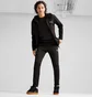 Спортивный костюм мужской Puma Evostripe Full-Zip Hoodie Black 681700-01__681702-01