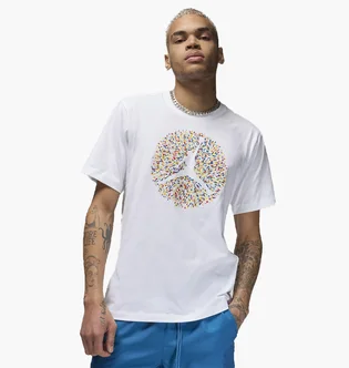 Футболка мужская Air Jordan M J Flt Ess Pool Ss Crew White FN6006-100
