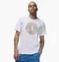 Футболка мужская Air Jordan M J Flt Ess Pool Ss Crew White FN6006-100