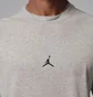 Футболка мужская Air Jordan Sport Grey IB6757-050