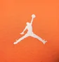 Футболка мужская Air Jordan Jumpman Orange DC7485-805