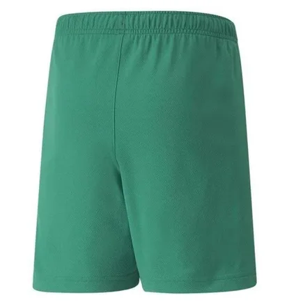 Шорты детские Puma Teamrise Green 704943-05