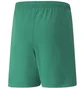 Шорты детские Puma Teamrise Green 704943-05