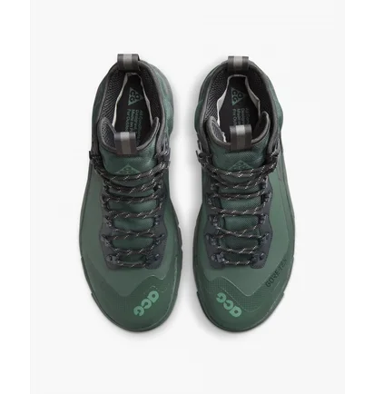 Черевики чоловічі Nike Acg Air Zoom Gaiadome Gore-Tex Green DD2858-300