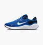 Кросівки дитячі Nike Revolution 7 Blue FB7689-401