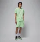 Кросівки унісекс Air Jordan Zion 4 Metallic FB1802-005