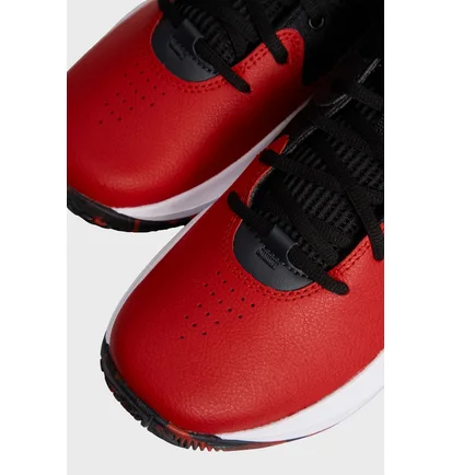 Кроссовки мужские Under Armour Lockdown 7 Red 3028512-600