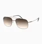 Солнцезащитные очки мужские Silhouette Brown/Brown 8716-6040