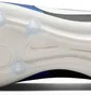 Бутси унісекс Nike Legend 10 Pro Ag-Pro Blue DV4334-400