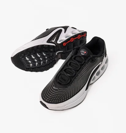Кросівки жіночі Nike Air Max Dn Black/White FJ3145-002