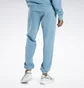 Штани чоловічі Reebok Classics Natural Dye Light Blue Hs9154