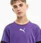 Футболка детская Puma Teamrise Jersey Violet 704938-10