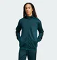 Кофта мужская Adidas Dayready Tracktop Green JX5499