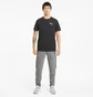 Штаны мужские Puma Evostripe Grey 585814-03