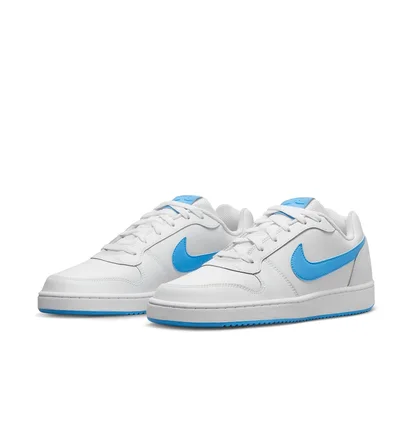 Кроссовки мужские Nike Ebernon Low White AQ1775-102