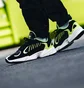 Кроссовки мужские Adidas Originals Yung-1 Black Ee5317