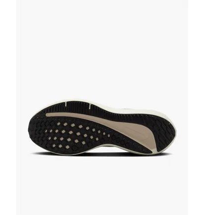 Кросівки чоловічі Nike Air Winflo 10 Brown FN7499-029