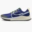Кросівки чоловічі Nike React Pegasus Trail 4 Blue Dj6158-400