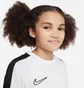 Футболка детская Nike Dri-Fit Academy 23 White DR1343-100