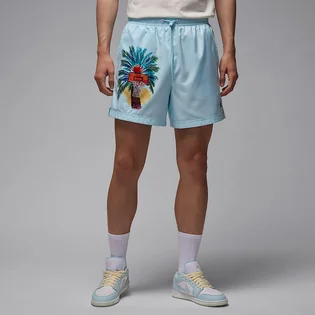 Шорти чоловічі Air Jordan Essentials Shorts Light Blue IB7276-474