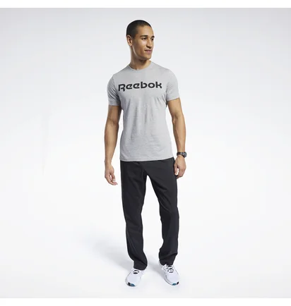 Футболка чоловіча Reebok Graphic Series Linear Logo Grey FP9162
