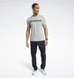 Футболка чоловіча Reebok Graphic Series Linear Logo Grey FP9162