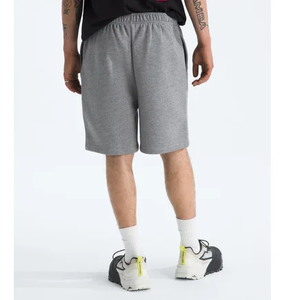 Шорты мужские The North Face Evolution Grey NF0A8CWWCQI