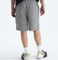 Шорты мужские The North Face Evolution Grey NF0A8CWWCQI