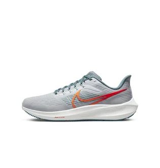 Кроссовки мужские Nike Air Zoom Pegasus 39 Grey Dh4071-003