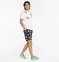 Шорты мужские Puma Brand Love Printed Multi 533669-01