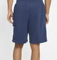 Шорти чоловічі Nike Mens Cargo Shorts Blue Cz9956-410