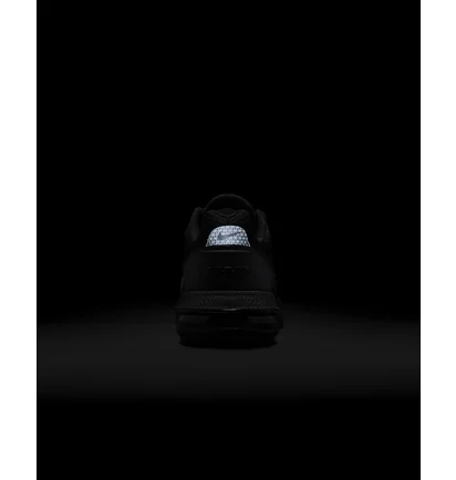 Кроссовки женские Nike Air Max Pulse Shoes Black FD6409-003