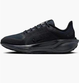 Кроссовки мужские Nike Pegasus 41 Gore-Tex Waterproof Road Running Black FQ1357-001