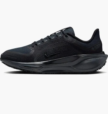 Кросівки чоловічі Nike Pegasus 41 Gore-Tex Waterproof Road Running Black FQ1357-001