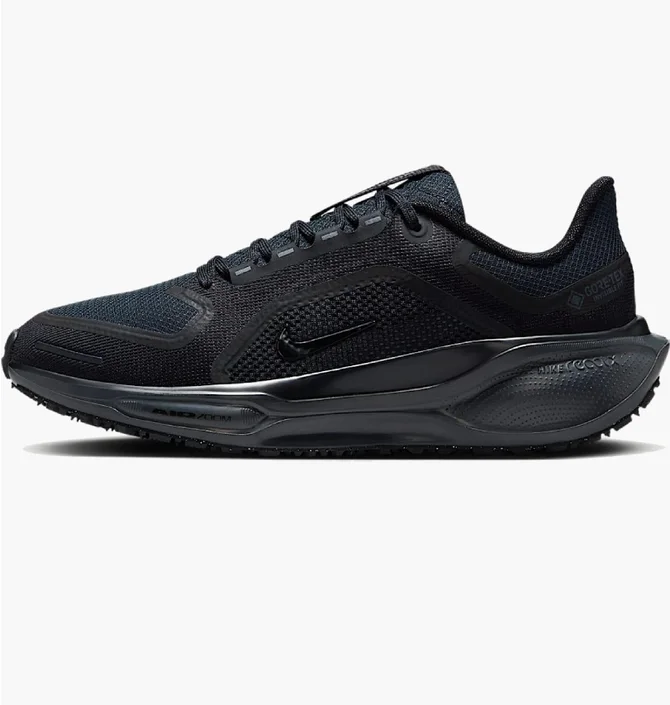 Кросівки чоловічі Nike Pegasus 41 Gore-Tex Waterproof Road Running Black FQ1357-001