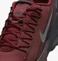 Кросівки чоловічі Nike Air Max Pulse Roam Bordo/Brown DZ3544-600