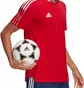 Футболка мужская Adidas Jersey Tiro21 Tr Jsy Red GM7588