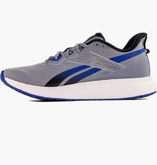 Кроссовки мужские Reebok Forever Floatride E Grey EH3253