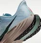 Кросівки чоловічі Nike Pegasus Plus Blue FQ7262-406