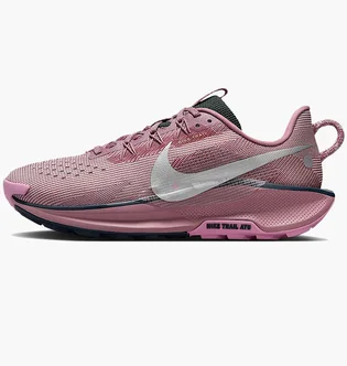 Кроссовки женские Nike Pegasus Trail 5 Gtx Pink/Violet DV3865-500